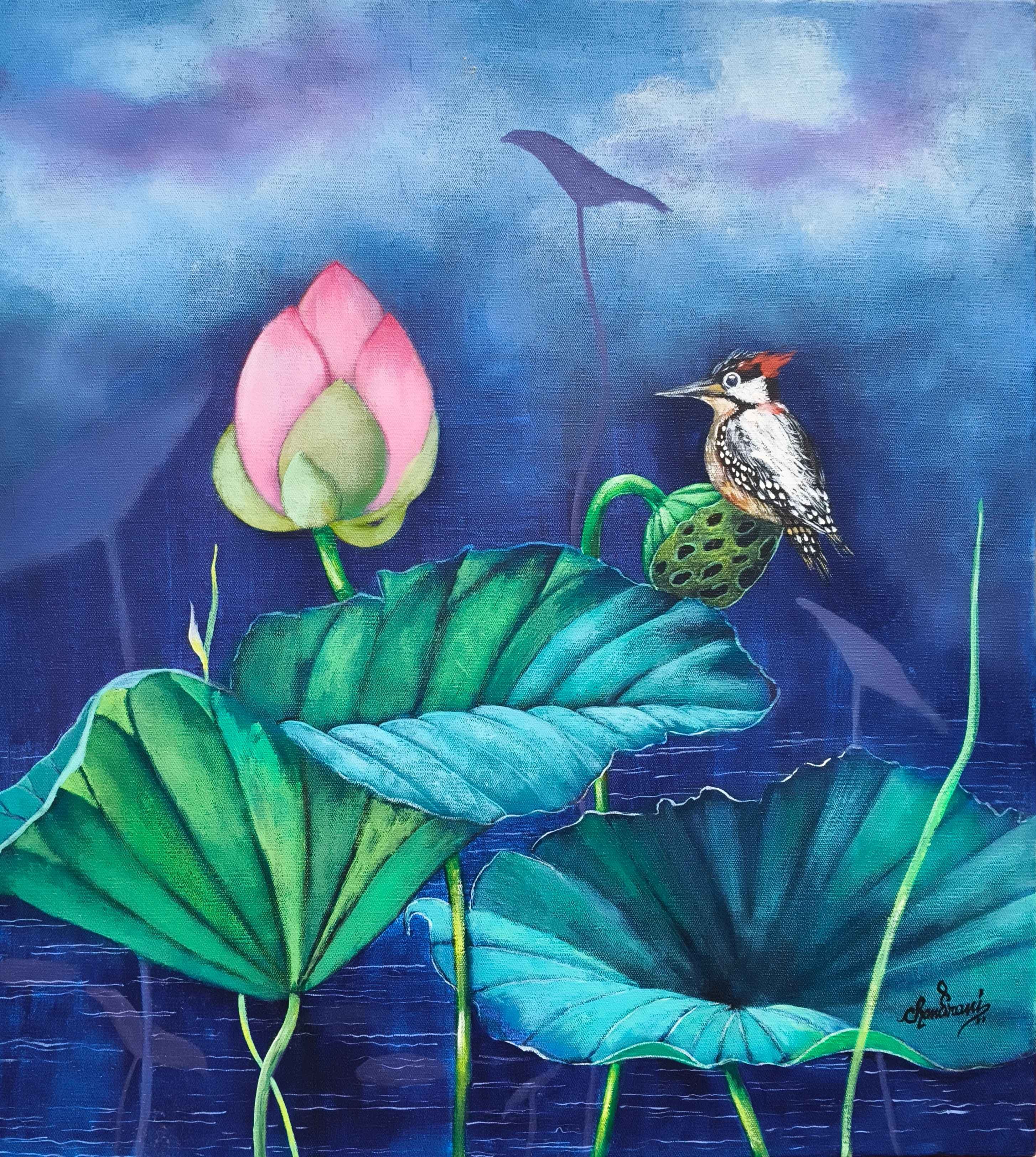 Lotus Series ( Vol 7 )