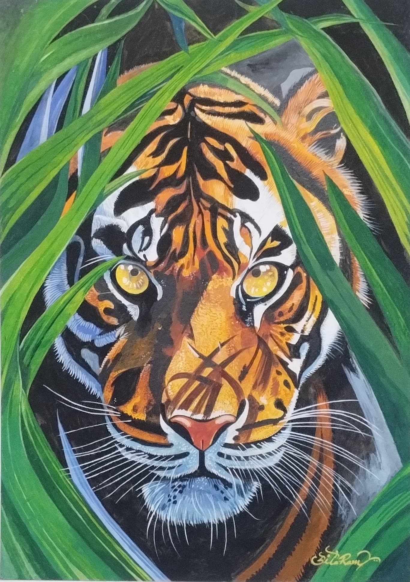 Tiger ( Vol 2 )