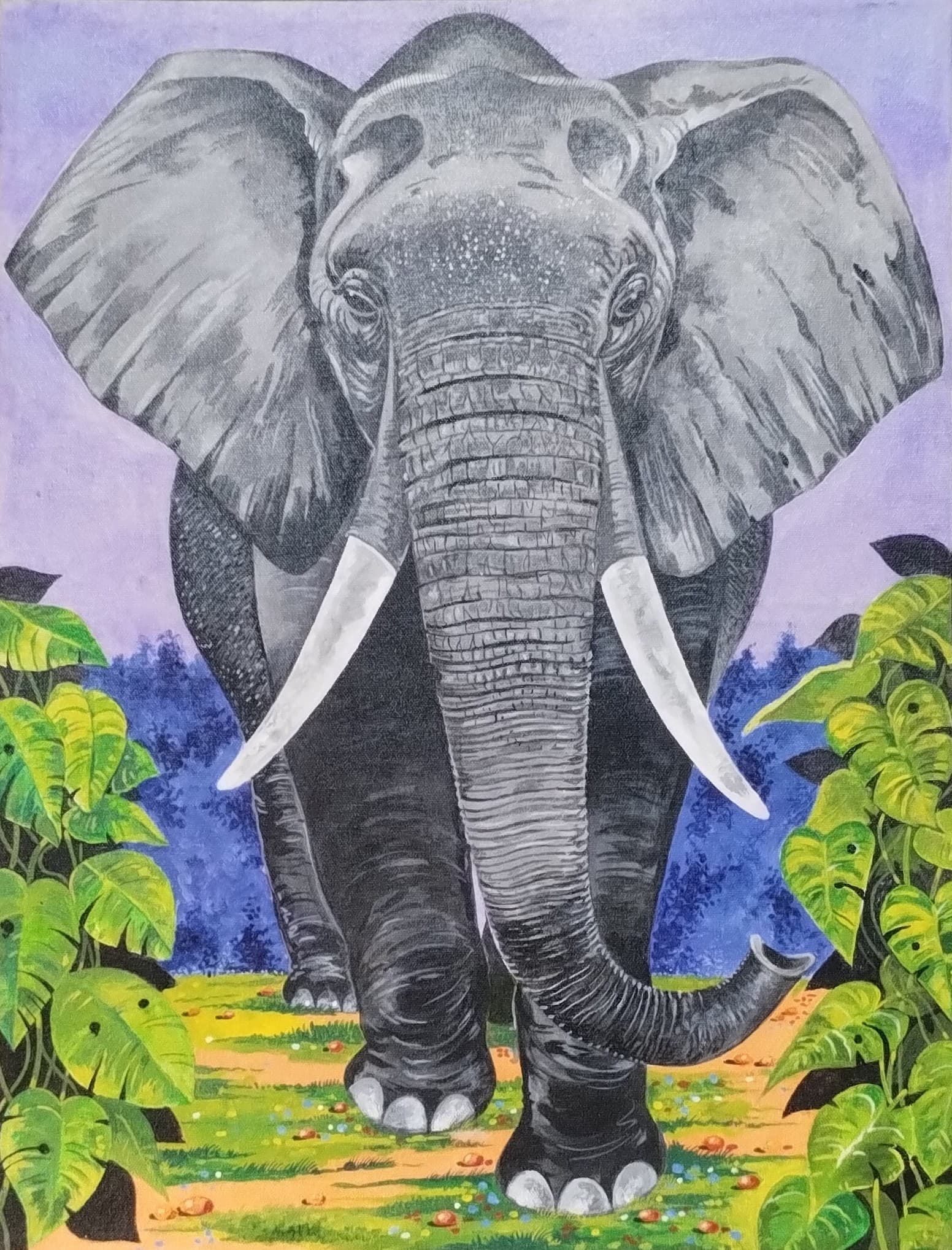 Elephant